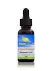 790566991378 Absorb Health Eucalyptus Essential Oil Oz Therapeutic Grade