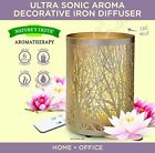 840093109880 Natures Truth Decorative Iron Diffuser Ounce