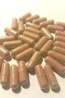 840994101075 Unbranded Grapeseed Green Tea Pine Bark Veggie Capsules