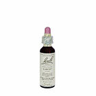 845086 Bach Flower Remedies Larch 741273205913