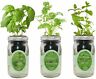 850018731379 Environet Hydroponic Herb Growing Kit Set Basil Cilantro