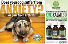861222000311 Green Roads Mg Hemp Oil For Pets All