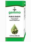 883196311408 Unda Rubus Idaeus 4.2