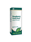 968 Genestra Raspberry Young Shoot 883196119202