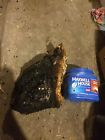 9pounds Chunks Mushrooms Chaga 7 Fresh... 20 Picked