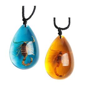 Acxico 735209933025 2 Pcs Insect Stone Natural Scorpions Inclusion Genuine Amber Baltic Pe