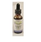 Anodyne-1 Support Homeopathic Recommends Small Joint Dr. Fl Oz
