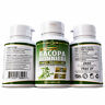 B008681 Best Herb Brain Enhancer Memory Bacopa Monnieri Extract Brahmi Adhd