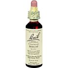 Ba0056 Bach Beech 20 Ml 741273204312