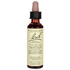 Ba0065 Bach Gentian 20 Ml 741273205210