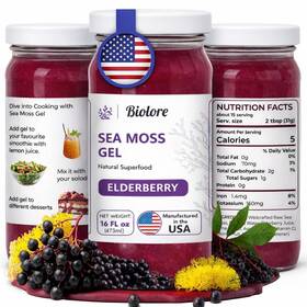 Bl-141-e1 Biolore Wildcrafted Sea Moss Gel - Elderberry 16 Oz Fl Pack Of 1