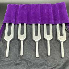 Biosonics 711181974256 128 Hz Tuning Fork Medical Weighted Forks For Healing Hertz