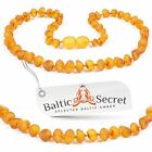 Bn29.5-hny.u-brq-us.0229 Baltic Secret Premium Amber