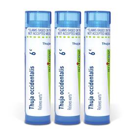 B07kl2hs14 Boiron Thuja Occidentalis 6c Homeopathic Medicine For Warts - Pack Of 3 240