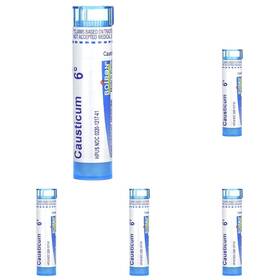 Boiron B0fby2jnm8 Causticum 6 C 80 Ct Pack Of 5