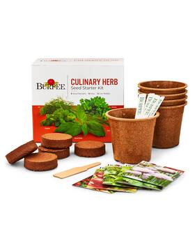 91190 Burpee Culinary Garden Starter Kit Packets 5 Pots Coir Pack Of 1 Brown