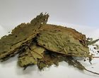 Buy108 Pure Potent Sacred Chance Sale Dried Betel Rare Leaves Shade