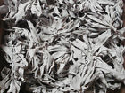 California Sage Leaf Cluster White 5 Wildcrafted Pounds Bulk Loose