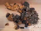 Chaga-3.75 Unbranded Chaga About Lb