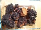 Chaga Wild 100 Harvested Hand