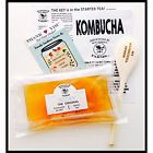 Cominhkpr118391 Brindle Southern Farms Fermentation More Large Scoby Cups 643845834500