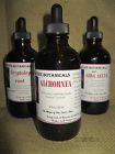 Cordifolia Extract Alchornea