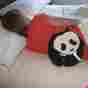 Corn-filled Microwave Heating Maine Warmers Cozy Panda Pad For Relaxation And To Ease Stiff Muscles