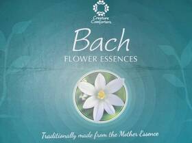 Creature Comforters 060347960677 Bach Flower Essence Set 40 Genuine Traditional Stock Remedies Boxed Quality Kit