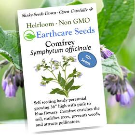 Ecscomoff50x Earthcare Seeds True Comfrey 50 Symphytum Officinale Non Gmo Purple