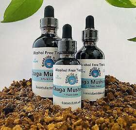 76786 Ecstatic Earth Chaga Mushroom Tincture Alcohol Free Inonotus Obliquus Extract Cold Cured 4 Oz