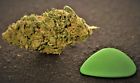 Elektra High Cbd Smokable Terpene Rich Legal