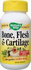 Energizes Cartilage Function Flesh Restorative The Body Bone