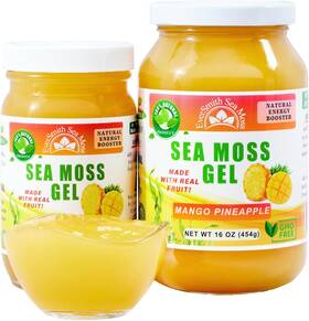 Smrw02 Eversmith Organics Wildcrafted Irish Raw Sea Moss Gel - Made In Usa Mango Pineapple 16 Oz