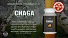 Extract Dietary Siberian Supply Supplement Stock - Tlc Month Chaga