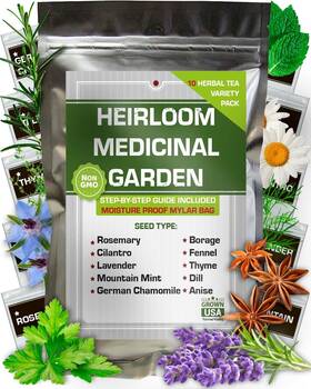 Medherbstea10 Farmervalley 10 Medicinal Herb Seeds - Heirloom Non Gmo Usa Made Varieties Green