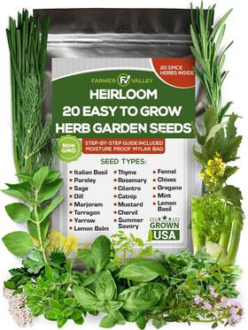 Mixspice-20 Farmervalley 20 Easy To Grow Spice And Herb Seeds For Home Gardening - Kitchen 5400 Green