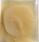 Lepazc5747 Fba Scoby Kombucha Organic Live Culture By 0617401885022