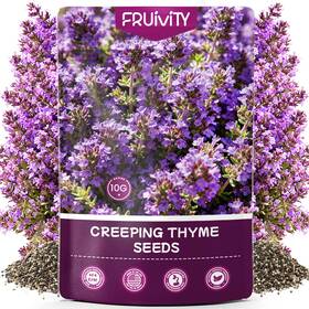 Fruivity 647581604762 20000 Pcs Creeping Thyme Seeds For Planting Non-gmo Purple