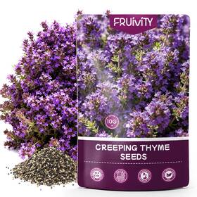 Fruivity 676327463851 20000 Pcs Purple Creeping Thyme Seed For Planting Non-gmo