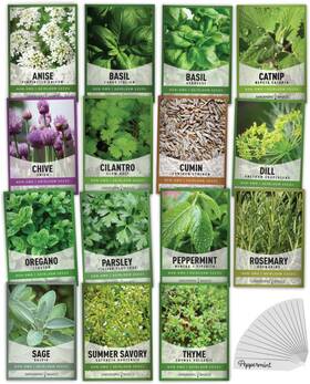 Gardeners Basics 848137043114 15 Herb Seeds For Planting Varieties Heirloom Non-gmo Green