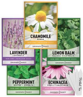Gardeners Basics 848137046351 Herbal Tea Seeds For Planting Indoors And Outdoors 5 Brown