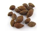 Greenhilltea Malva Nut Pang Da Hai Dried Sterculia Lychnophora Pangdahai 1 Lb 741993990298