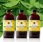 Gye Nyame Inc Buy 3 Black Seed Bitters Detox With Moringa 16 Oz The Original Best By 735255112894
