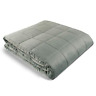 Hbbt10 Hug Bud Weighted Blanket No Cover Required Fits 632030541002