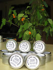 Heals Ivy Poison Eczema Balm Itch Concentrate Fast Salve Jewelweed Stops 4oz