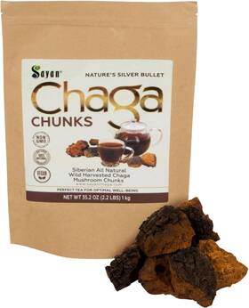 Health Inc. 445037756750 Siberian Pure Raw Chaga Mushroom Chunks With Black Top Crust 35.2 Oz/ 2.2 Lb P
