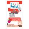 Hmu025 Homeolab Usa Kids Relief Flu Raspberry Fl Oz 778159666353