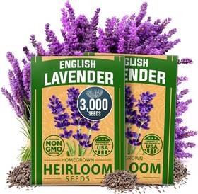 Home Grown 850056627115 Premium English Lavender Seeds 3000 Non-gmo Herb