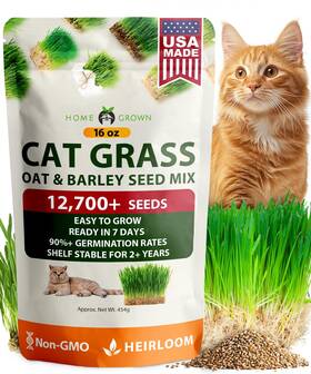 Home Grown 850056627399 Non Gmo 1 Pound Cat Grass Seeds For And Kittens Oat 16 Oz Multi