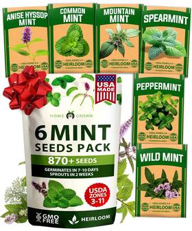 Home Grown 850056627481 Mint Seeds Variety Pack - 870 Heirloom Tea Herb 6-pack White